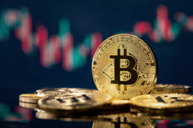 Bitcoin more than doubles in 2024 on spot ETF approval, Trump euphoria