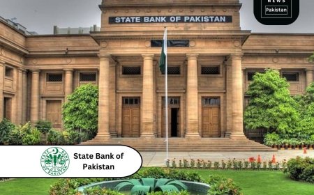 Microfinance Banks Serving More Accountholders, Borrowers Than Conventional Banks