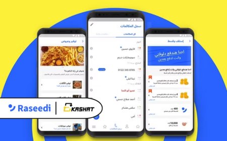 Raseedi acquires Kashat, Pharos Microfinance to offer Instant Loans to Underbanked in Egypt