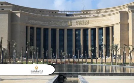 Central Bank of Egypt extends fee exemption for digital transfers via IPN, InstaPay for 3 months