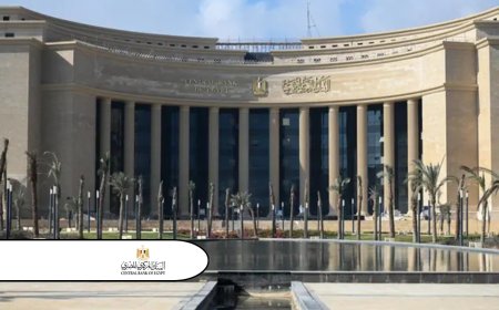 Central Bank of Egypt Increases Transaction Limits for Financial Inclusion Accounts