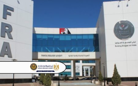 Financial Regulatory Authority Halts New Applications for Traditional Consumer and Microfinance Licenses for One Year - Fintech News Egypt