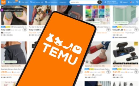 Chinese E-Retailer Temu to be investigated by EU Tech Regulators over Sale of illegal Products – Fintech News Europe