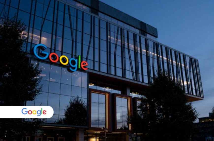 Google completes registration, to open office in Pakistan: Shaza Fatima