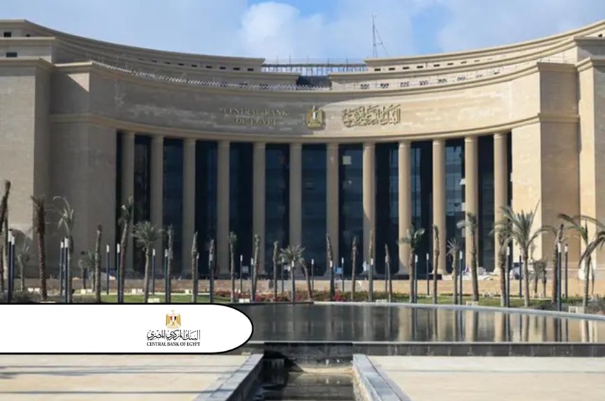 Central Bank of Egypt Increases Transaction Limits for Financial Inclusion Accounts