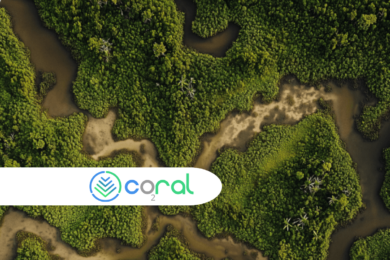 UAE-Based Climate Tech Startup Coral Secures $3 Million in Seed Funding
