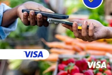 Visa Tap to Phone Adoption Soars: 490% Year-Over-Year Growth in the UAE