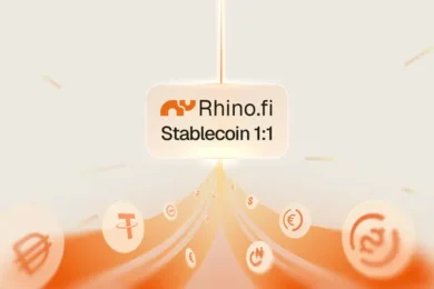 Rhino.fi launches Stablecoin 1:1 so neobanks and fintechs can settle stablecoins like dollars